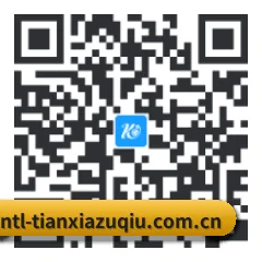 系统版 Android 二维码